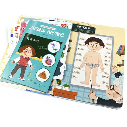 我的身体书 3-12岁 双语3d立体书儿揭秘身体的秘密图书绘本 宝宝身体
