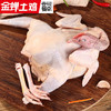 壹号餐桌F9大别山老母鸡500天1000g 冻品～ 商品缩略图1