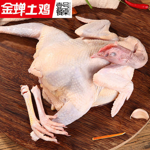 壹号餐桌F9大别山老母鸡500天1000g 冻品～ 商品图1