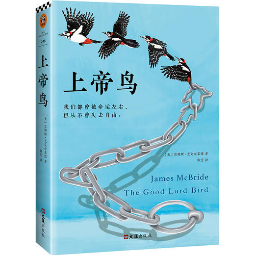 上帝鸟 商品图1