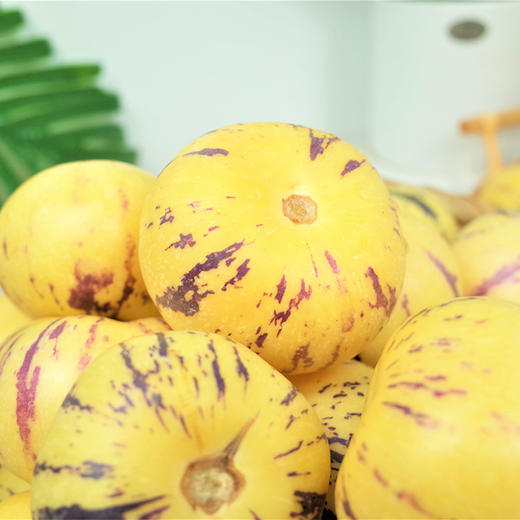 【神秘“大水球”】云南人参果 清甜解渴 无核饱满 享受低糖爆汁的魅力 商品图4