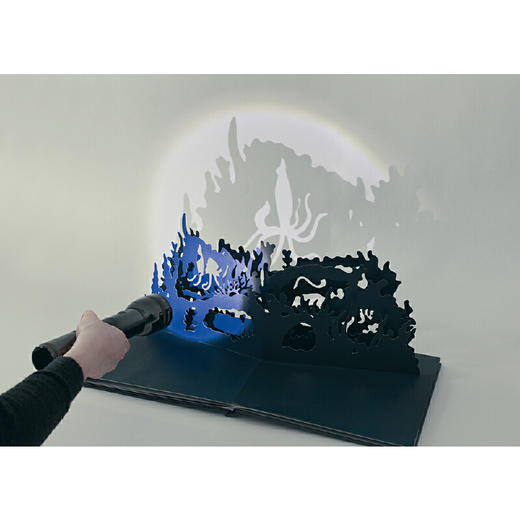 寻找午夜精灵：弹跳出来的影子剧场（奇想国精选创意立体书） 商品图2