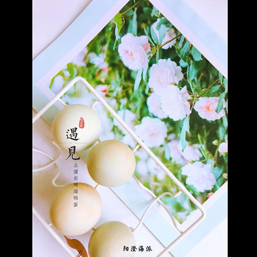 广西海鸭蛋 商品图3