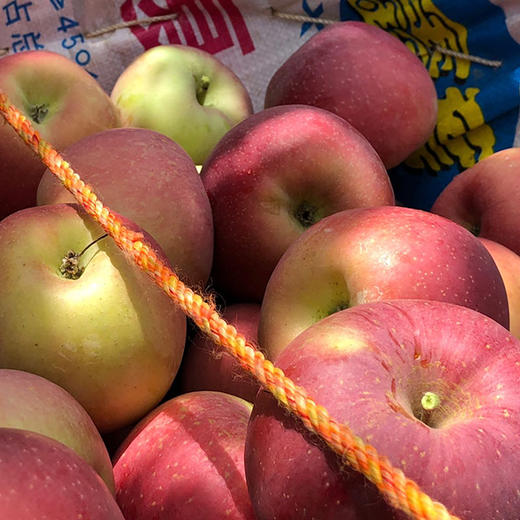 盐源小丑苹果（红将军） 商品图2
