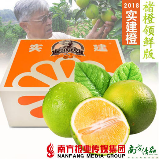 【珠三角包邮】实建 褚橙大果 含箱10-11斤/箱（10月18日到货） 商品图0
