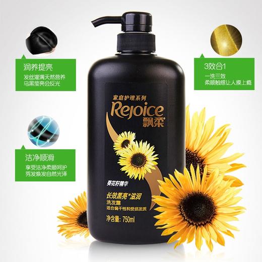 飘柔家庭护理系列洗发露750ml/瓶 商品图3