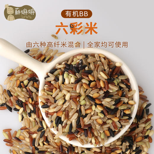 有机BB六彩米 商品图0