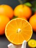 爱媛果冻橙 商品缩略图1