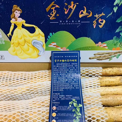 【金沙山药】4.5斤/箱，入口即化，口感甘甜 商品图2