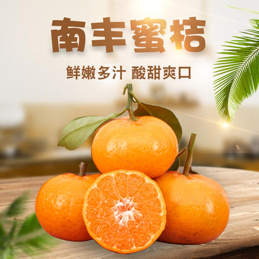 【顺丰直邮】江西南丰蜜桔 当季现摘5斤薄皮蜜橘 酸甜可口 黄皮砂糖小蜜橘子 商品图0