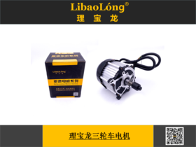 理宝龙三轮车差速电机