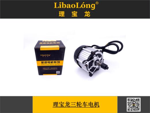 理宝龙三轮车差速电机 商品图0