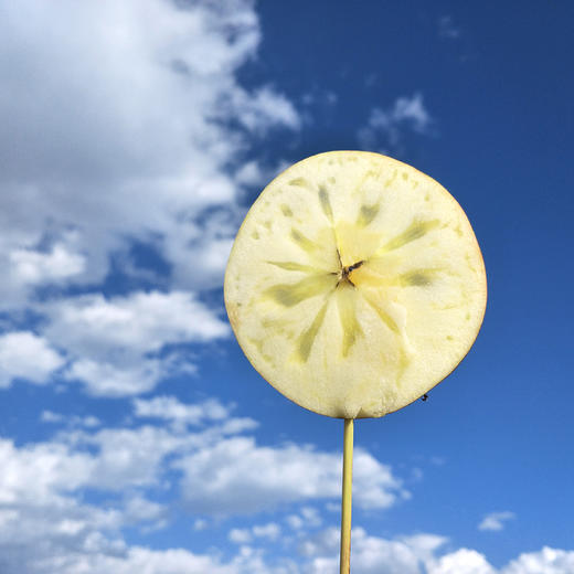 YQ【新鲜早点吃】大凉山丑苹果 外丑内甜 酸甜爽脆 咀嚼无残渣 商品图1