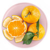 云南蜜桔500g 商品缩略图0