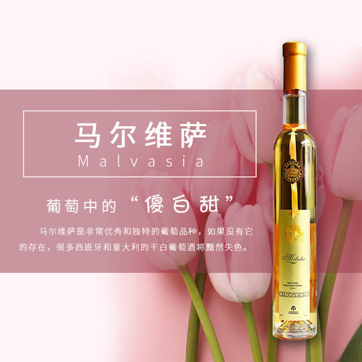 【始于颜值 忠于品质】美绚冰谷晚收香槟金甜白葡萄酒 375ml 意大利原装原瓶进口 DOC法定产区级 清新甜蜜 典雅细腻 商品图1
