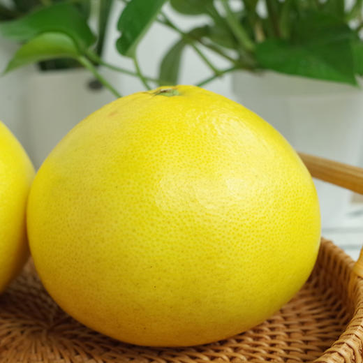 【汁水炮弹】黄金葡萄柚 清甜爆汁 柚香四溢 皮薄肉嫩 享受多汁秘诀 商品图3