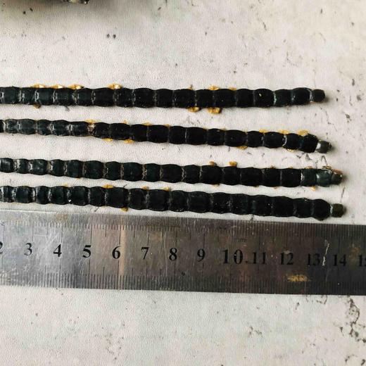 仙蒙道地堂 无竹片固定蜈蚣 无竹签蜈蚣 长度13-15公分 100条起拍 商品图6