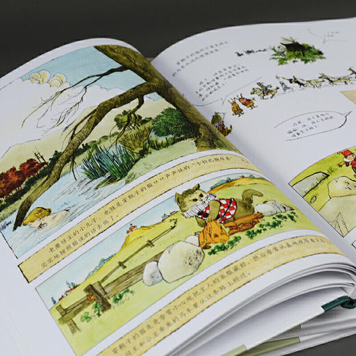 穿靴子的猫（奇想国当代精选） 商品图3