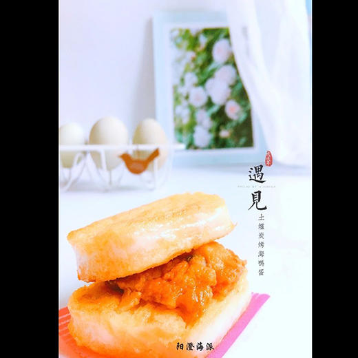 广西海鸭蛋 商品图2