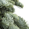 丹麦花材 | 诺贝松圣诞树 商品缩略图1