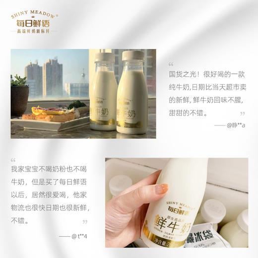 【热卖鲜奶】蒙牛每日鲜语 250ml*3瓶 ，  保质期15天 商品图3