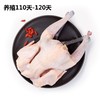 有机散养小公鸡 900克/只 顺丰包邮 商品缩略图0