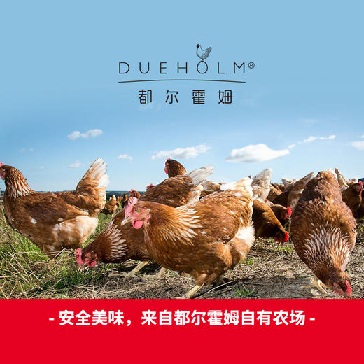 有机散养500天老母鸡 净重1.1kg以上【第2只6.5折】 商品图2