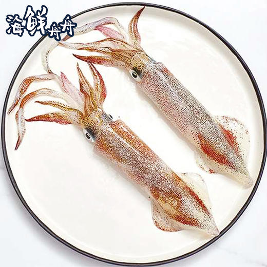 【野生】超低温  手钓小管 400g/盒 商品图4