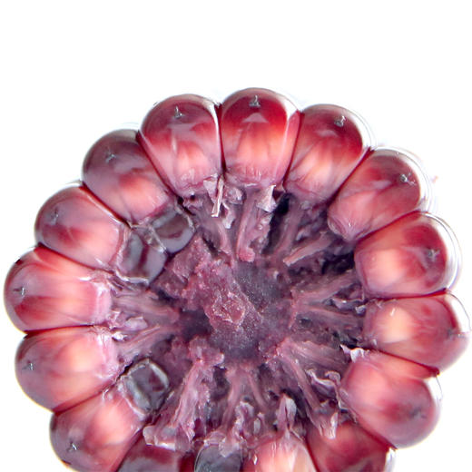 有机黑糯玉米软糯型 220克/条（真空包装，加热即可食用） 商品图4