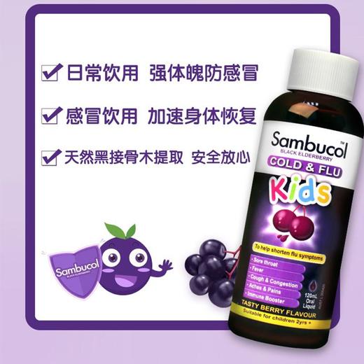 【保税仓】澳洲Sambucol黑接骨木儿童VC维生素C补锌营养糖浆120ML 商品图2