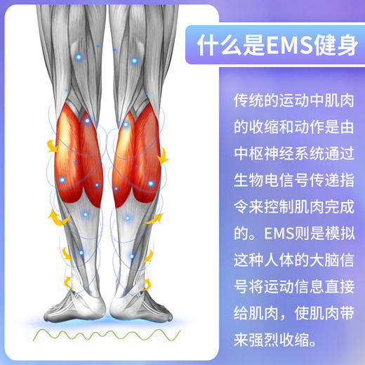 【甩掉大粗腿】日本VONMIE浮光垫 沃脉塑腿垫足底按摩 商品图1