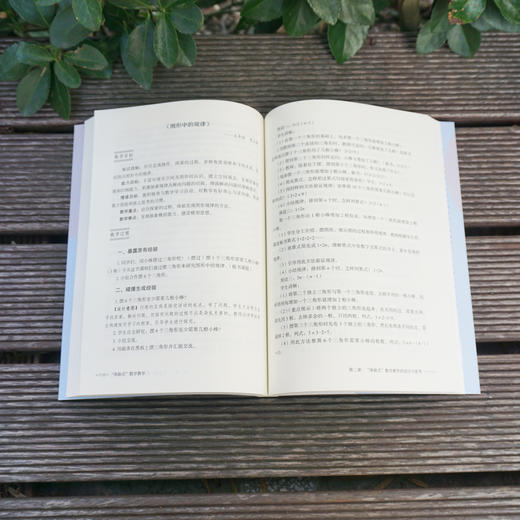 “体验式”数学教学 搭建体验与经验的桥梁 大夏书系 数学教学培训用书 小学数学案例 商品图2