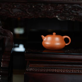 龙德堂陶艺 汤宣武制 《灵秀》 原矿降坡泥 230cc 库存咨询客服