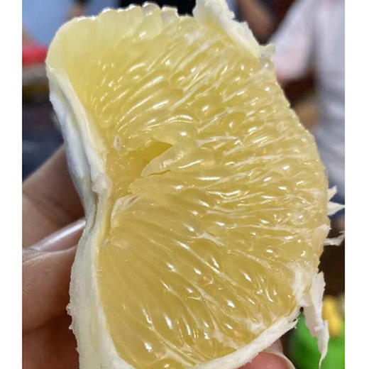 葡萄柚 商品图2