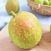 #2月6日至16日暂不发货#【新疆贡品】库尔勒香梨 新鲜当季 脆嫩爽口 汁多无渣 清甜滋润 秋天也不干燥 商品缩略图5