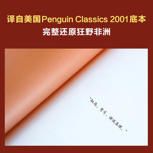 走出非洲（一直想换一种活法？去过《走出非洲》那样自由而狂野的一生！海明威：世界欠这个女人一个诺贝尔奖） 商品图11
