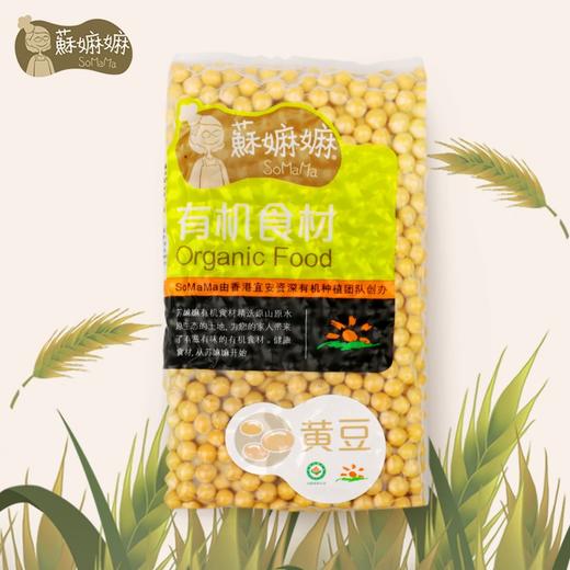 有机黄豆 商品图2