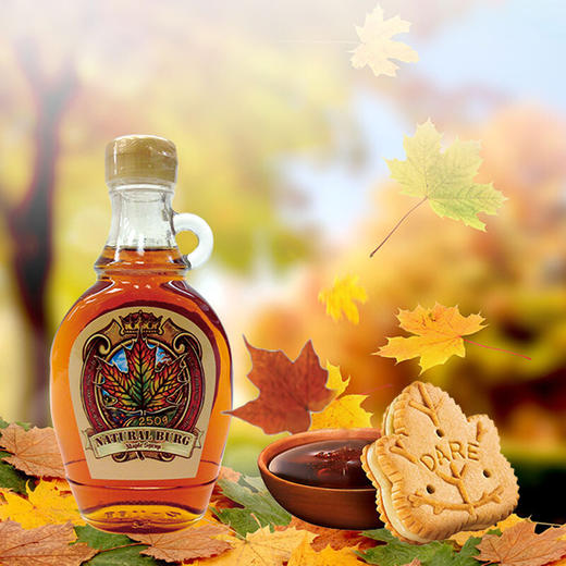 加拿大原装进口圣地博格枫糖浆250g枫树枫叶糖浆咖啡饮料甜点松饼断食