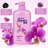 飘柔家庭护理系列洗发露750ml/瓶 商品缩略图5