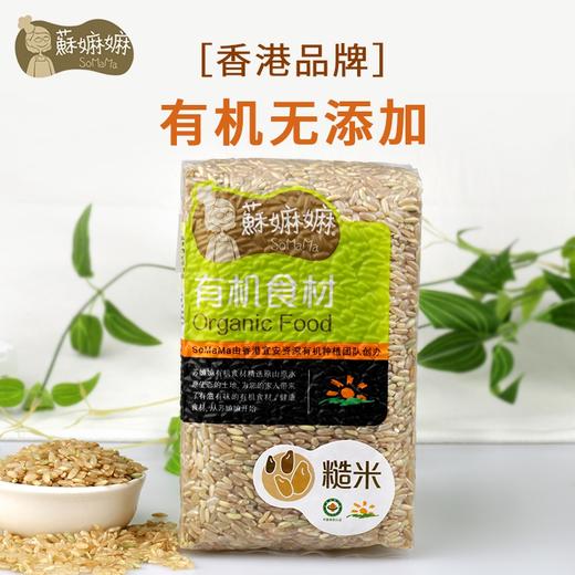 有机糙米 商品图4
