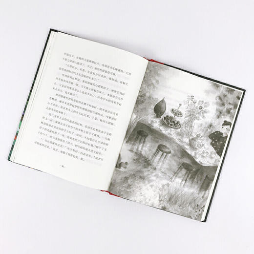 迷失的花童（奇想文库） 商品图2