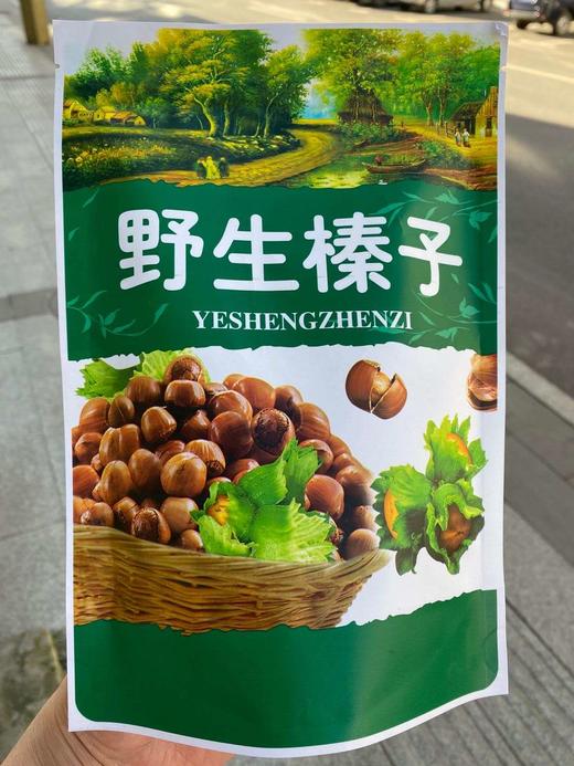 正宗长白山⛰️天然野生超香榛子 商品图4