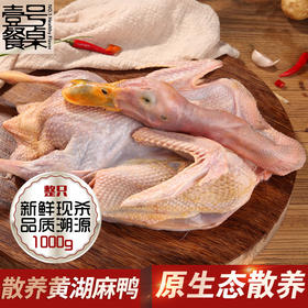 壹号餐桌大别山散养金蝉土母鸡1100g-1200g（带电子身份证)(1只装）+散养麻鸭1000g（1只装）冻品~
