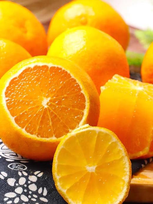 爱媛果冻橙 商品图3