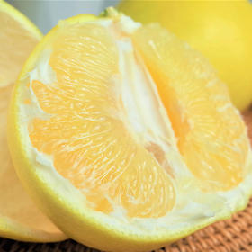 【汁水炮弹】黄金葡萄柚 清甜爆汁 柚香四溢 皮薄肉嫩 享受多汁秘诀