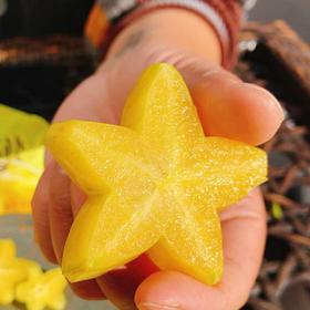 业主福利~【树熟黄金蜜杨桃】约4斤/箱 果肉橙黄，肉厚多汁