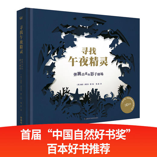 寻找午夜精灵：弹跳出来的影子剧场（奇想国精选创意立体书） 商品图0