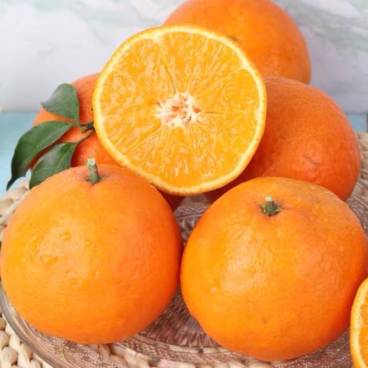 爱媛果冻橙 商品图0