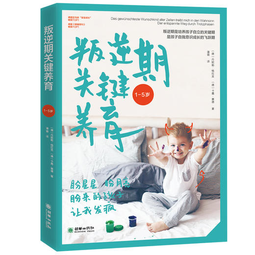 叛逆期关键养育 商品图0