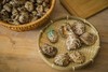 神农架椴木香菇  500克 商品缩略图2
